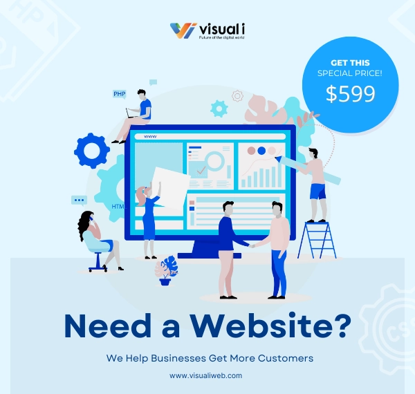Best Software Company in Dhaka Bangladesh Visual i